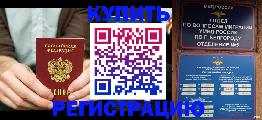 прописка 2025 в Зернограде